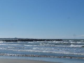 Appartement T2 avec terrasse et parking à 350m de la plage, proche commerces. - FR-1-307-217 - 2