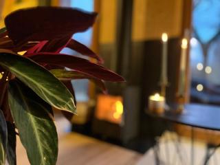 Bayda's Tiny House - Sprimont - 8