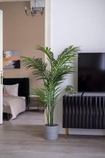 Spacious Vintage Apartment for 12PPL - 6