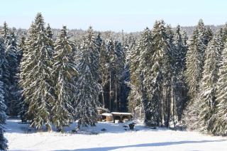 Haus Allgäu Ruh - Görisried - 5