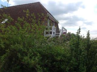 Ferienwohnung 1 Schulze - Neustrelitz - 2