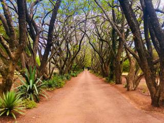 Shangri-La Country Hotel & Spa - 9