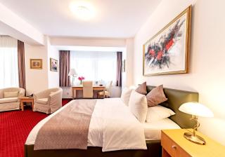 Bucur Accommodation - Bucharest - 8