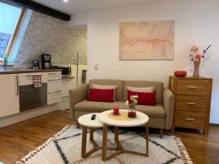 Ferienwohnung Janus Altstadt-Hameln Haus 1 inklusive Parkplatz mit und ohne Balkon - Hameln - 1