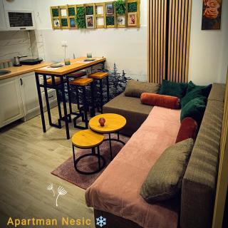 Apartman Nesic kop - Kopaonik - 9
