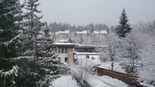 Central Apartament Predeal Nr 5 - Predeal - 5
