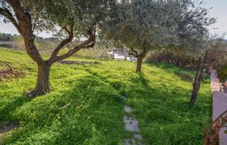 Villa Fiorinvalle - 1