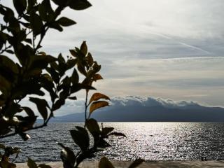 Apartment Ariana - 4