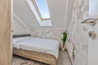 Ice magic Zlatibor - 5