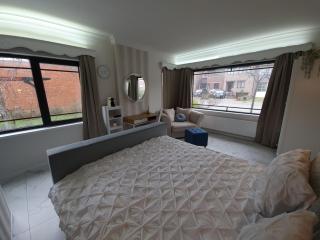 Lazy Olives - Tongeren - 1