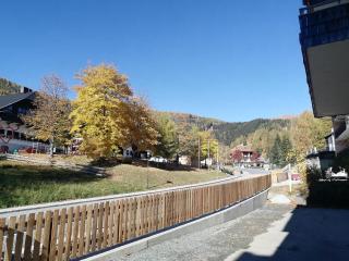 Appartement Moni / Golf & Ski - TOP 9 - 2
