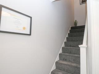 Bythynnod Newydd - 2