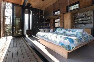 Cabin Zoobox 54 - Eastman - 6