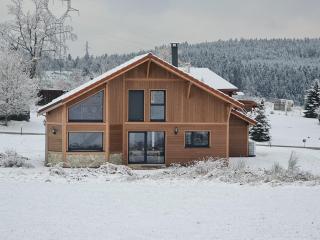 CHALET L'ÉCHAPPÉE NATURE 4 étoiles sauna - Anould - 6