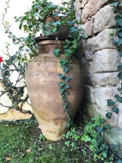 San Noto casina di caccia con piscina riscaldata - - 7