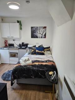 Tiny Studio, 30 min to St. Pancras, North London - Londra - 4