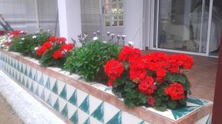 Apartamento lujoso en primera linea de playa - Castell de Ferro - 9
