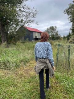 Open Sky - Cumberland - 7