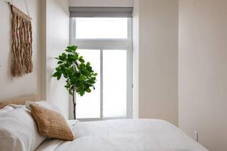 Beautiful 2 BDR with Sofa Bed and Sky Light - 4