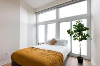 Beautiful 2 BDR with Sofa Bed and Sky Light - 1