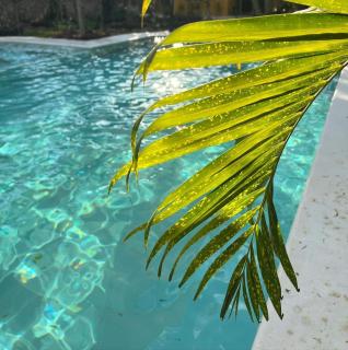 Casa Tolosa Villas - Hunucmá - 5
