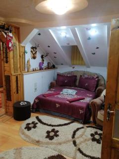 Casa Cristian - Câmpulung Moldovenesc - 5