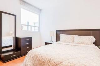 Upscale Polanco, 24 7 Security, Walk to Shopping! - 7