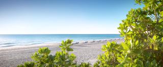 Pelican Grand Beach Resort, a Noble House Resort - Fort Lauderdale - 6
