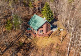 Mountain Top Log Cabin, HOT TUB, fire-pit, WiFi - Bryson City - 8