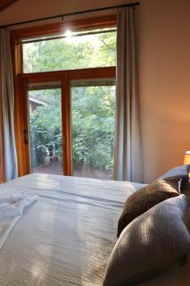 Lux, designer 8-acre retreat with private creek - Nevada City - 4