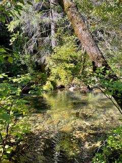 Lux, designer 8-acre retreat with private creek - Nevada City - 3