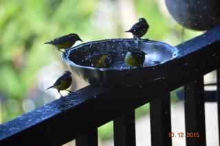 Le Colibri, belle vue mer, accés direct à la plage, SPA privatif - 2