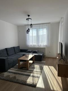 Lux Apartment 31 - Lukavica - 7