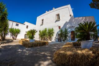 Masseria Martellotta - Palagianello - 1