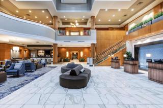 Embassy Suites by Hilton Houston-Energy Corridor - Houston - 9