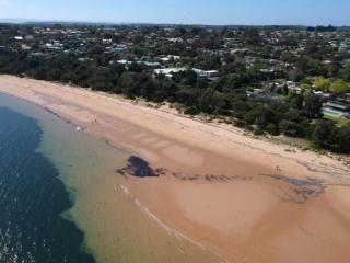 Beach Park Phillip Island - Apartments - Cowes - 7