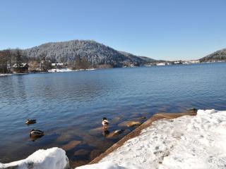 Appartement chaleureux avec garage & balcon au cœur de Gérardmer, proche lac & pistes - FR-1-589-338 - 6