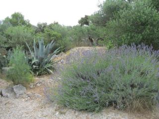 Apartments with parking space Razanj, Rogoznica - 22376 - 4