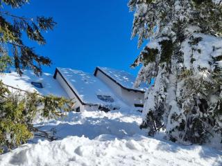 Macesen apartment Rogla - 1