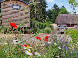 Litet Hem - North Tidworth - 7
