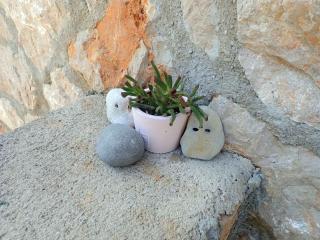 Apartment Seline/Paklenica Riviera 35328 - Seline - 4