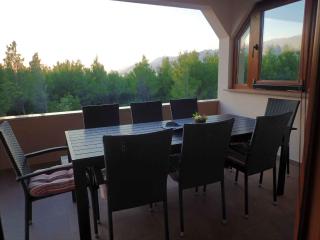 Apartment in Jasenice 35406 - Jasenice - 4