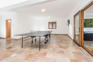 Holiday home in Jasenice 31210 - Jasenice - 1