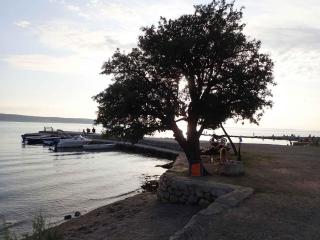 Holiday home in Starigrad-Paklenica 41708 - Starigrad-Paklenica - 3