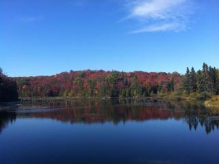 Glenview Cottages - 1