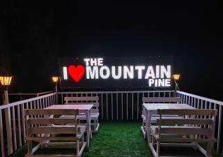 The Mountain Pine - Nainital - 9