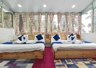 The Mountain Pine - Nainital - 7