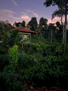 ViGo Homes - Sakleshpur - 9