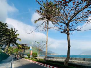 Golden Rose Hotel - Con Dao - 4