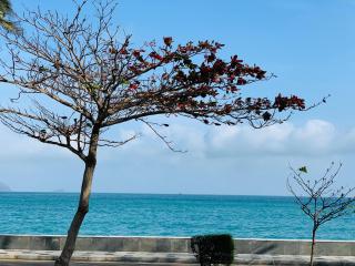 Golden Rose Hotel - 2